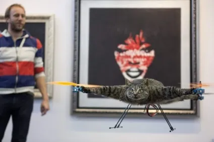Літаючий кіт orvillecopter - нове слово в таксидермії (нове слово таксидермії) Літаючий кіт orvillecopter - нове слово в таксидермії