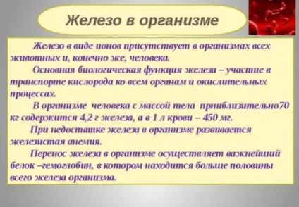 Лікування міоми ефективними народними засобами, рецепти які допомогли (ефективне) Лікування міоми ефективними народними засобами, рецепти які допомогли