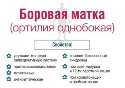 Лікування міоми ефективними народними засобами, рецепти які допомогли (які) Лікування міоми ефективними народними засобами, рецепти які допомогли