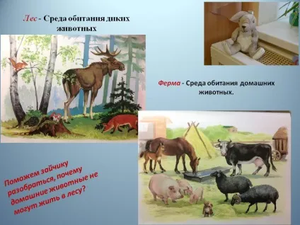 Ліс - середовище проживання диких тварин - презентація 140216-8