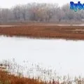 Ловля плотви і тарані навесні на спінінг і фідер (тарані) Ловля плотви і тарані навесні на спінінг і фідер