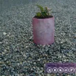 Кращі новорічні композиції зі свічками (більше 55 ідей) (Новорічні композиції свічками) Кращі новорічні композиції зі свічками (більше 55 ідей)
