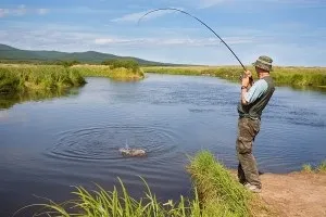 Ловля хижака на живця, все про рибалку (ловля) Ловля хижака на живця, все про рибалку