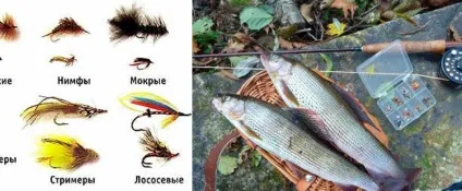 Ловля харіуса на мушку які мушки потрібні, техніка лову