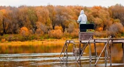 Ловля великої плотви підгодовування і наживка, снасті (ловля) Ловля великої плотви підгодовування і наживка, снасті
