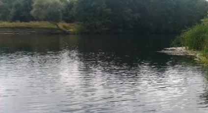 Ловля великої плотви підгодовування і наживка, снасті (ловля) Ловля великої плотви підгодовування і наживка, снасті