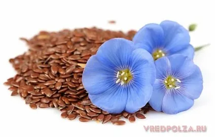 Лляне насіння користь і шкода (користь) Лляне насіння користь і шкода