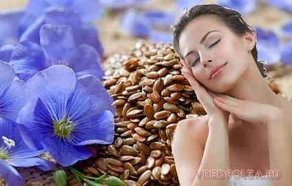 Лляне насіння користь і шкода (лляне) Лляне насіння користь і шкода