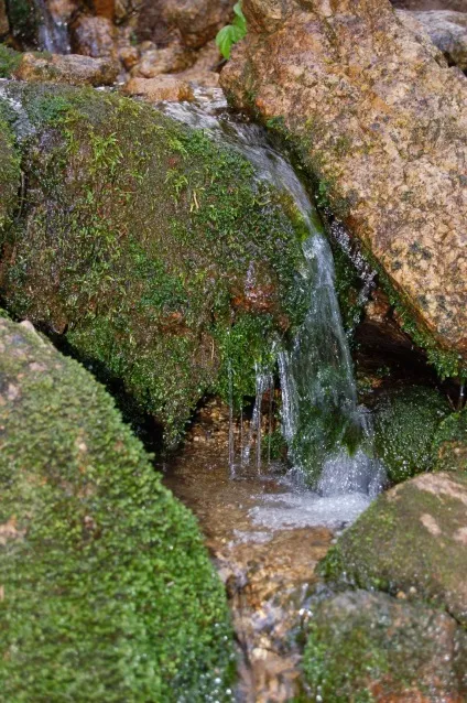 Кращі способи знезараження води в похідних умовах одного разу це станеться (фільми по виживанню) Кращі способи знезараження води в похідних умовах одного разу це станеться