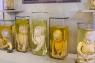 Ваш путівник по визначних пам'ятках Харкова - туристичне агентство «мій (www.peterburg.biz) Ваш путівник по визначних пам'ятках Харкова - туристичне агентство «мій