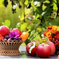 У чому користь огірків для вагітних, для дітей, для організму (користь) У чому користь огірків для вагітних, для дітей, для організму