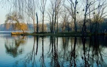Весна картинки, весняні шпалери на робочий стіл, скачати красиві фото заставки широкоформатні (картинки) Весна картинки, весняні шпалери на робочий стіл, скачати красиві фото заставки широкоформатні