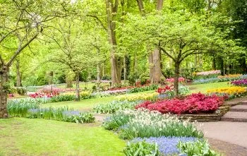 Весна картинки, весняні шпалери на робочий стіл, скачати красиві фото заставки широкоформатні (скачати) Весна картинки, весняні шпалери на робочий стіл, скачати красиві фото заставки широкоформатні