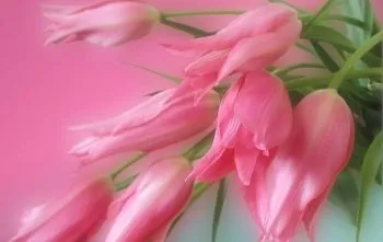 Весна картинки, весняні шпалери на робочий стіл, скачати красиві фото заставки широкоформатні (стіл) Весна картинки, весняні шпалери на робочий стіл, скачати красиві фото заставки широкоформатні