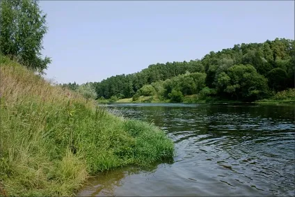 Васильевское - Підмосков'ї вихідного дня