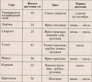 Ротики