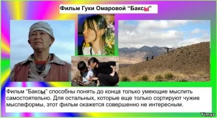 Малий цикл, рік
