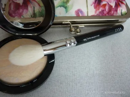Mac mineralize skinfinish lightscapade відгуки - vidija 17 (lightscapade) Mac mineralize skinfinish lightscapade відгуки - vidija 17
