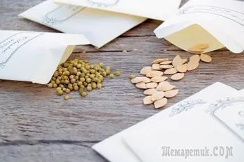 Масаж обличчя в домашніх умовах (особи) Масаж обличчя в домашніх умовах