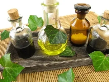 Масло чорного кмину користь і шкода для організму людини, протипоказання (масло чорного кмину шкоду) Масло чорного кмину користь і шкода для організму людини, протипоказання