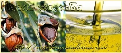 Масло жожоба застосування для особи і для волосся