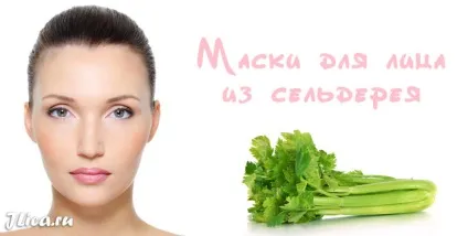 Маски з селери для особи 10 рецептів та відгуки (селера шкіра обличчя маски користь застосування відгуки) Маски з селери для особи 10 рецептів та відгуки