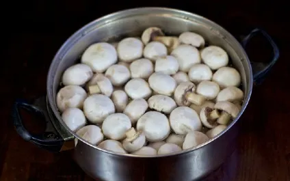 Мариновані гриби в домашніх умовах (смаком Часник зубки) Мариновані гриби в домашніх умовах