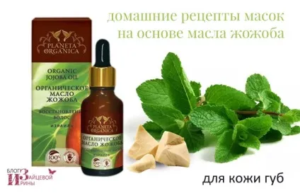 Масло жожоба для особи, блог Ірини Зайцевої