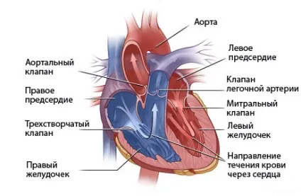 Марс у дітей - симптоми хвороби, профілактика і лікування марс у дітей, причини захворювання і його
