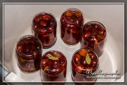 Мариновані сливи, домашні рецепти (маринування) Мариновані сливи, домашні рецепти