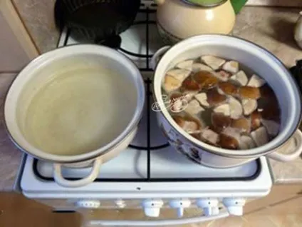 Маринування білих грибів в домашніх умовах рецепт з фото (білих) Маринування білих грибів в домашніх умовах рецепт з фото