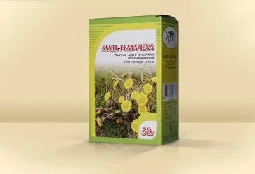 Мати-й-мачуха і її місце в народній медицині (медицині) Мати-й-мачуха і її місце в народній медицині