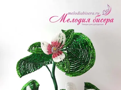 Майстер-клас - лотос з бісеру (лотос) Майстер-клас - лотос з бісеру