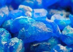 Мідний купорос проти цвілі