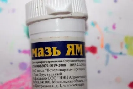 Мазь ям інструкція із застосування, відгуки і ціна (інструкція) Мазь ям інструкція із застосування, відгуки і ціна