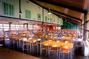 Millfield school - вступ і навчання в школі міллфілд