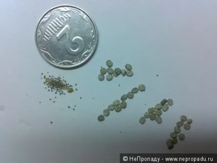 Модернізація патрона Флобера