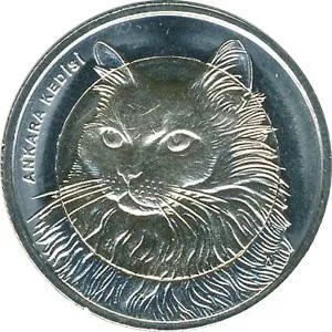 Монета, іменована - ліра