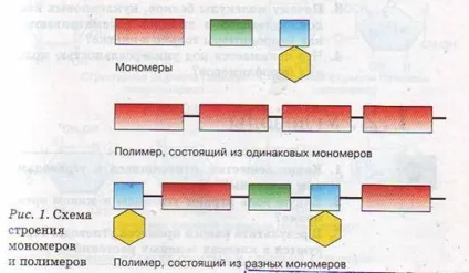 Молекулярний рівень загальна характеристика (загальна) Молекулярний рівень загальна характеристика