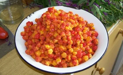 Морошка користь і шкода для здоров'я (шкода) Морошка користь і шкода для здоров'я