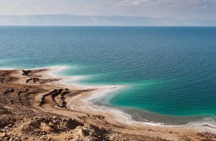 Морська зірка відео, опис і фото (зірка) Морська зірка відео, опис і фото