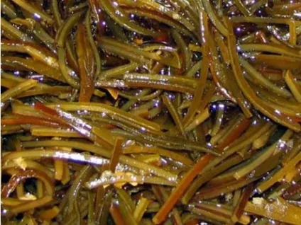 Морська капуста (ламінарія, морські водорості) (вибирати) Морська капуста (ламінарія, морські водорості)