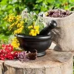 Народні засоби для підвищення імунітету в домашніх умовах