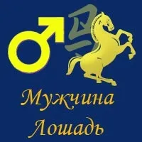 Чоловік-кінь за китайським гороскопом, сумісність знаків зодіаку