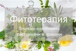 Народні лікарські трави (фітотерапія) при простатиті (трави) Народні лікарські трави (фітотерапія) при простатиті