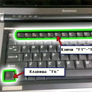 На ноутбуці не працює кнопка fn - що робити, функціональна клавіша (ноутбуці) На ноутбуці не працює кнопка fn - що робити, функціональна клавіша