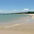 Натуральні вологі серветки своїми руками для дітей (руками) Натуральні вологі серветки своїми руками для дітей