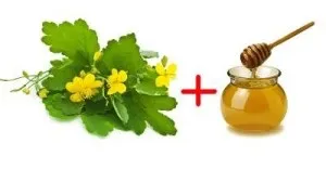 Настоянка з чистотілу і медом рецепт і свойтсва (рецепт) Настоянка з чистотілу і медом рецепт і свойтсва