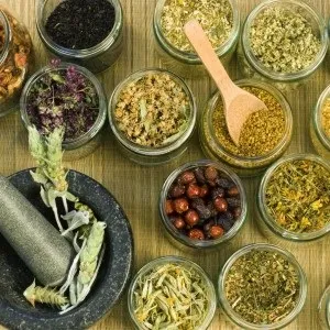 Народні засоби проти глистів трави, продукти і спеції, профілактичні заходи (народні) Народні засоби проти глистів трави, продукти і спеції, профілактичні заходи