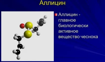 Настоянка часнику на горілці - рецепти приготування, застосування відео (рецепти) Настоянка часнику на горілці - рецепти приготування, застосування відео